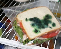Faux Mold Packaging Image 6