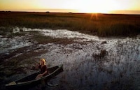 Swanky Swamp Editorials Image 2