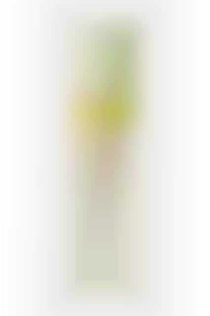 Hybrid Beauty Sprays