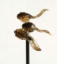Realistic Wildlife Confections Image 5
