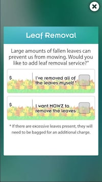 On-Demand Lawn Services Image 6