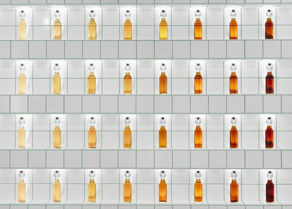 14 Educational Alcohol Experiences