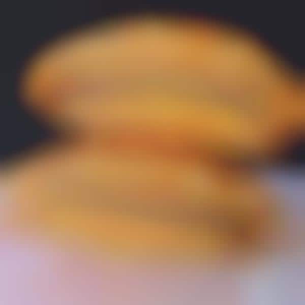 French Fry Burger Buns