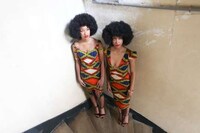 Boldly Exotic Collections Image 3