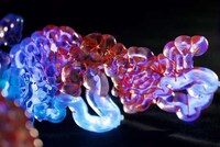 3D-Printed Photosynthetic Wearables Image 2