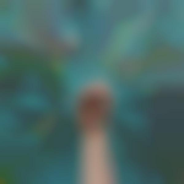 Prismatic Mobile Photography