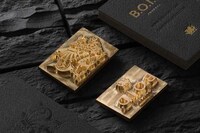 Opulent Business Card Branding Image 2