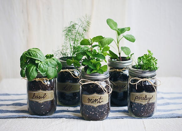 Top 90 Eco Innovations in June