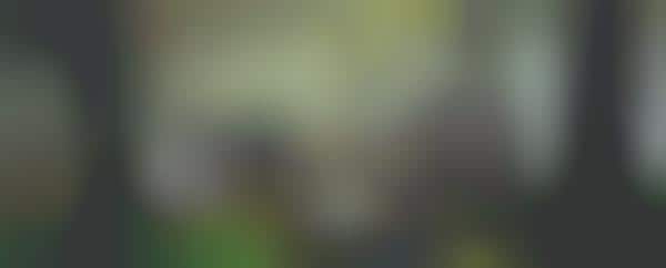Rejuvinating Travel Commercials