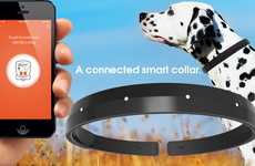 Smart Dog Collars