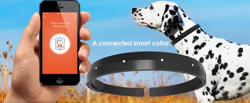 Smart Dog Collars