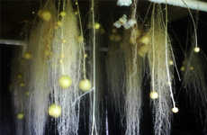 Aeroponic Spud Gardens