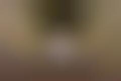 Aeroponic Gardening Experiments
