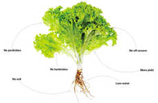 Nightclub Vegetation Projects