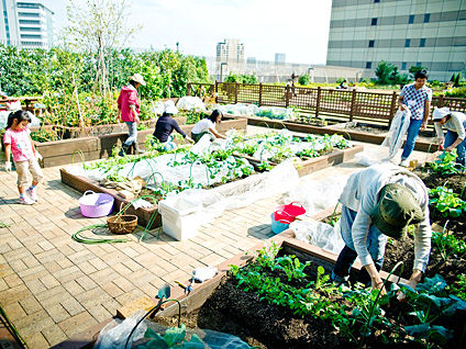 54 Examples of Urban Garden Innovations