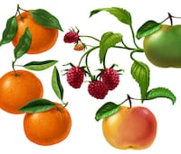 Floral Juice Packaging Image 2