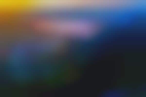 Facebook Photography Exhibits