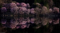 Facebook Photography Exhibits Image 5