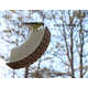 Timber Track Birdhouses Image 3