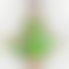 Cannabis-Inspired Fashion