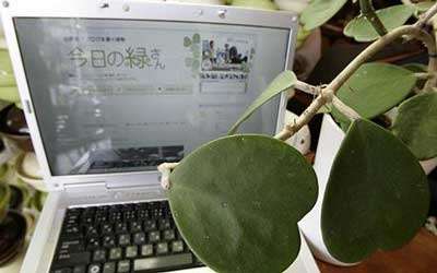 Botanical Bloggers