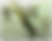 Organic Sinister Sculptures Image 1