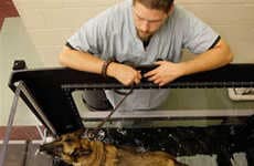 $15M Animal Rehab Centers