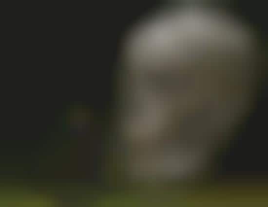 Macabre Eco-Sculptures