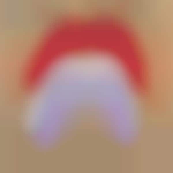 Posterior Print Art