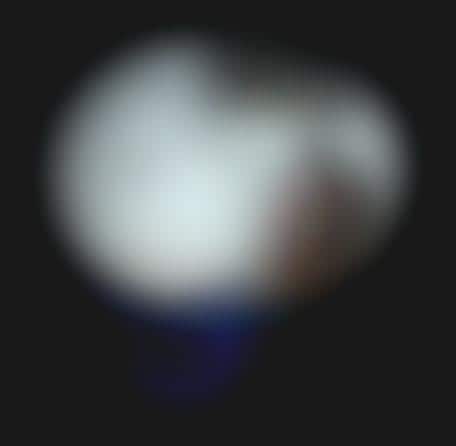 Glittery Compact Kitchens