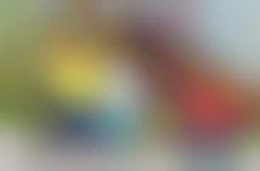 Cartoon Sitcom Spinoffs