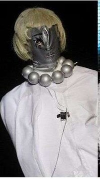 Siamese Fashion Twins Image 2
