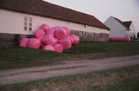 Pink Hay Bales