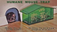 Extreme Pest Control Image 6