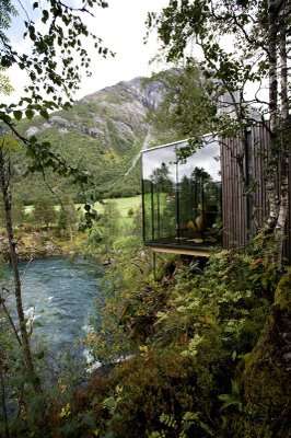 Hideaway Vacations in the Forest 