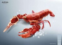 Transformer Seafood