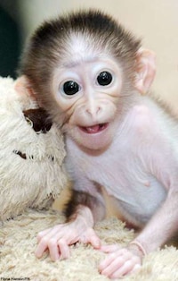 Glorifying Ugliness Image 7