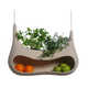 Sculptural Produce Pods Image 2