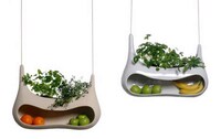 Sculptural Produce Pods Image 3