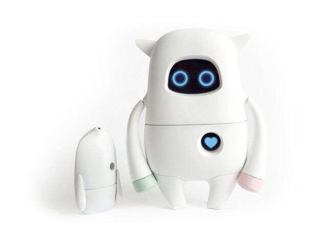Intelligent Personal Robots