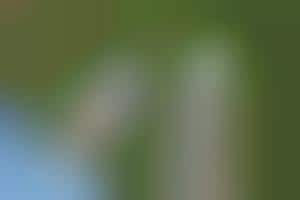 Smart Hydration Bottles : Smart Water Bottle