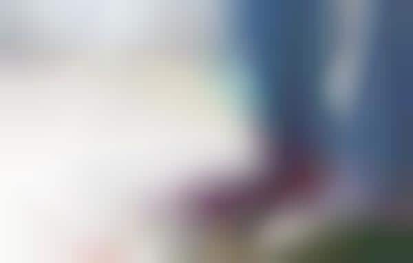 Flexible Video Cameras