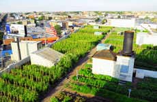 Urbanized Rooftop Farms