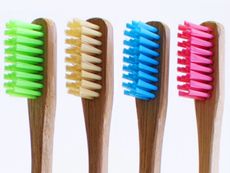 Biodegradable Bamboo Toothbrushes Article Thubnail