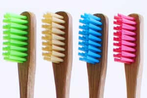 Biodegradable Bamboo Toothbrushes Article Thubnail