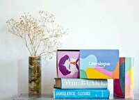 Visual Literary Guides Image 7