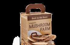 Miniature Mushroom Gardens