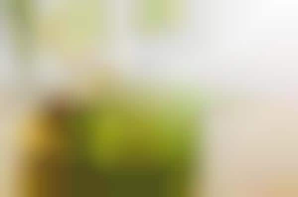 Non-Toxic Luxury Skin Care