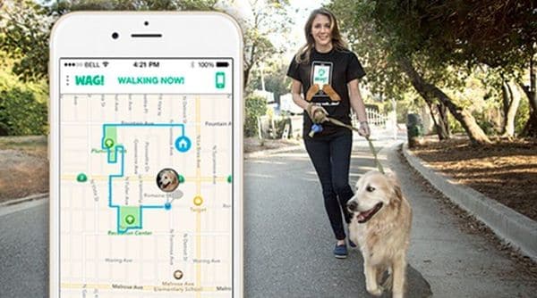 23 Pet-Centric Apps