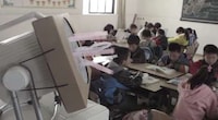 Educational Air-Purifying Kits Image 4